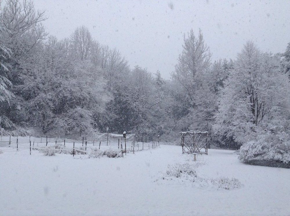 Windflower Inn Great Barrington Esterno foto